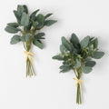Eucalyptus Bundle Set of 2