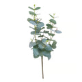 Eucalyptus Spray