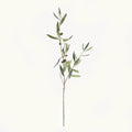 32" Olive Stems with Olives, Set of 4
