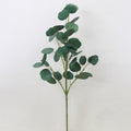 Silver Dollar Eucalyptus Spray
